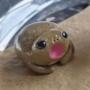 popo 币种