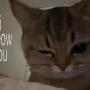 i meow you  幣種