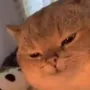 トークンアイコン