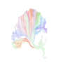 Tokenpictogram