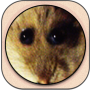 Icono del token
