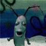 Token Plankton in Pain
