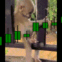 Token monkey_meme