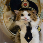 Neuracat 幣種