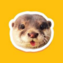 Token degen the otter