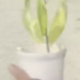 Leaf Erikson 币种
