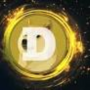 DOGE ETF token