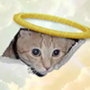 Jeton CEILING CAT