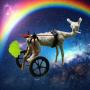 giga intergalactic llama fart token