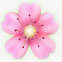 Token Send this flower