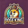 DogeKingCoin 幣種