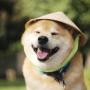 Token Maru Taro