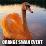 Jeton Orange Swan Event