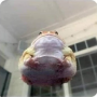 Ikona tokena