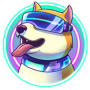 Jeton SolDoge