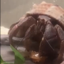 币种图标