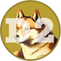 Doge2 币种