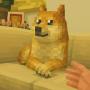 Minecraft Doge-token