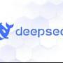 token DEEPSEEK