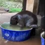 トークンアイコン