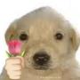Token there is no meme. i love you