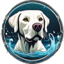 Token TikTok Splash Dog