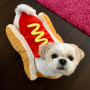Token Hotdog
