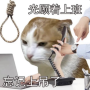 币种图标
