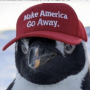 Make America Go Away 币种