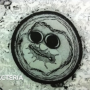 token Cyanobacteria