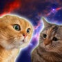 Jeton TwoTalkingCats