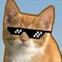 Токен Odencat