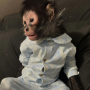 token MONKEY TAKEN BY POLICE