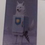 币种图标