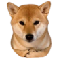 Token LOAF