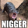 Token Black
