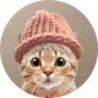 CatWifHat  币种