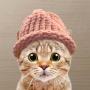 CatWifHat  幣種
