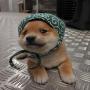 Token Dog Wif Durag