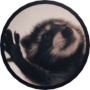 Token Pedro Raccoon