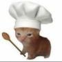 Token lilcat