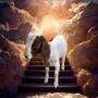 Token Cedar the goat 
