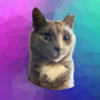 Token DIAMOND The Cat Coin