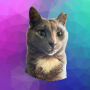 Token DIAMOND The Cat Coin