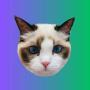 Token Taylor Swift's Cat