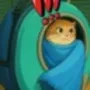 Hosico cat 幣種