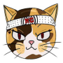 Token KarateCat
