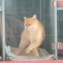 トークンアイコン