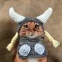 Floki Cat 幣種