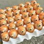 Token Temu DOGE Eggs